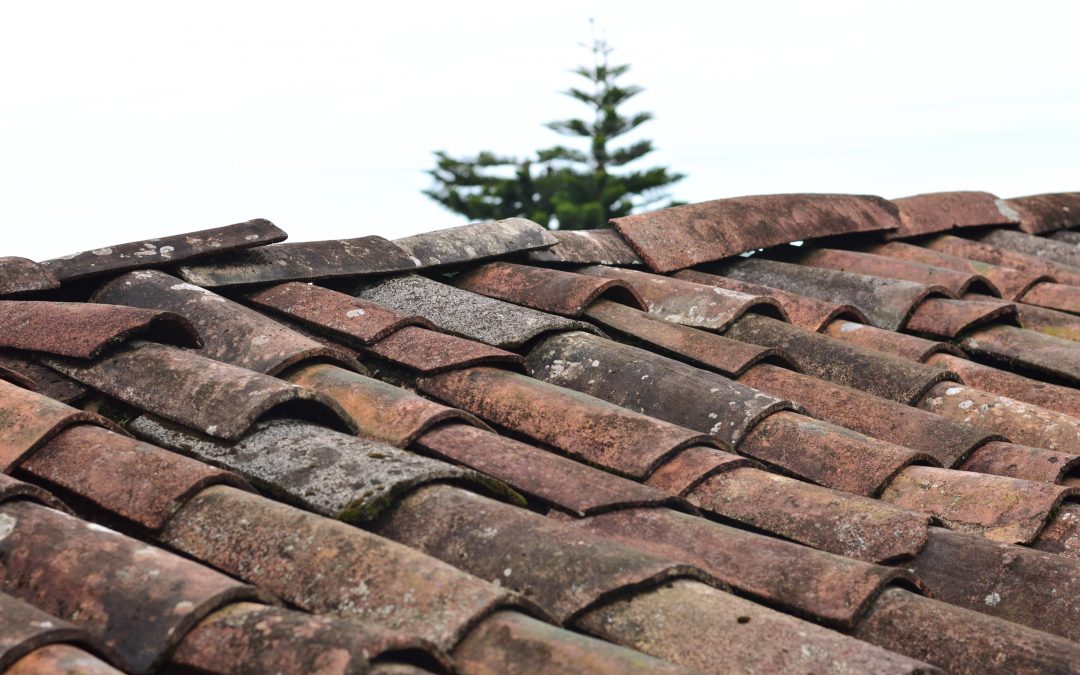 What is Softwashing a Roof?